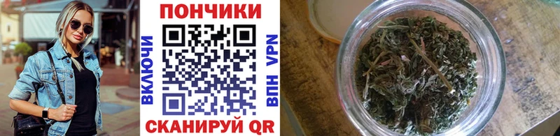 Где купить наркотики Курган ГАШ МЕТАДОН Псилоцибиновые грибы Меф Бошки Шишки