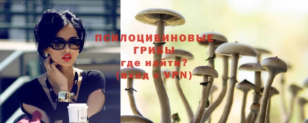MESCALINE Аркадак