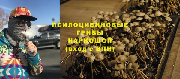 герыч Алексин